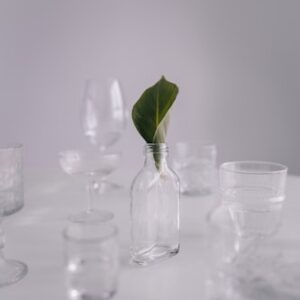 Chic Martini Glasses